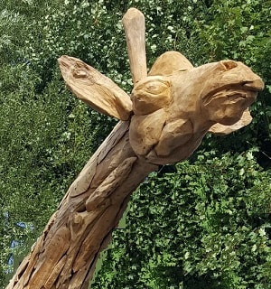 driftwood giraffe head