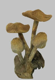 table top wooden mushrooms