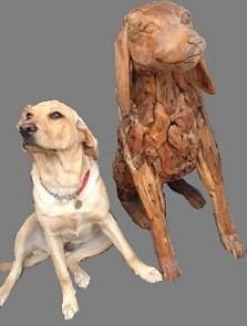 driftwood dog with real life dog