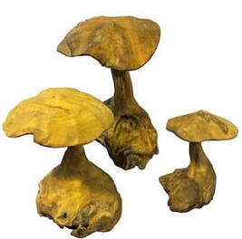 set of 3 wild wooden mushrooms
