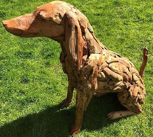 small driftwood dog looking left