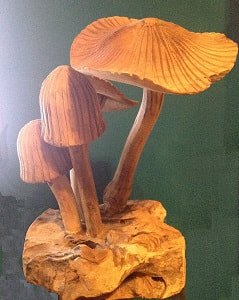 wooden mushrooms for table decoration
